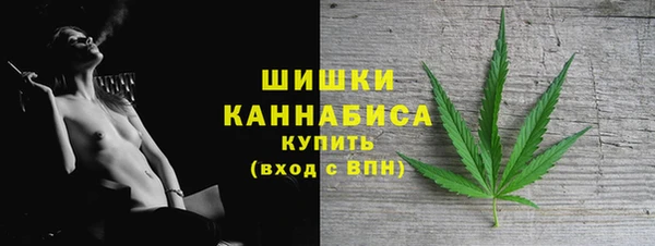 молекула духа Бугульма