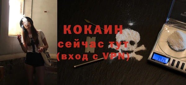 СК Бородино