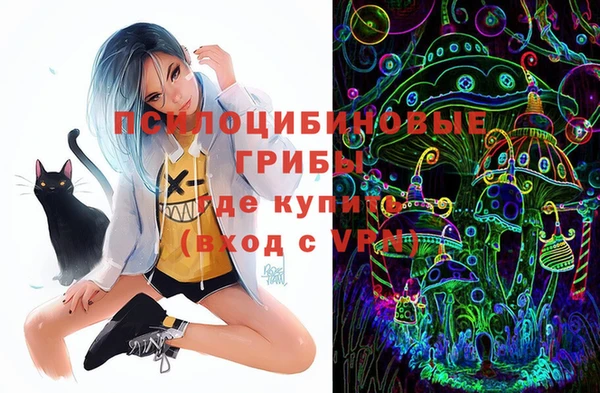 молекула духа Бугульма