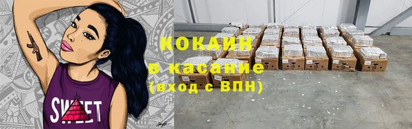 мдпв Богородицк