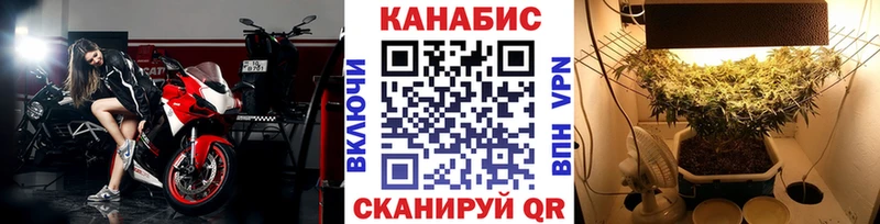 Бошки Шишки ГИДРОПОН Сретенск
